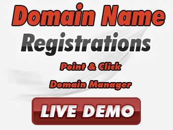 Budget domain registration service providers